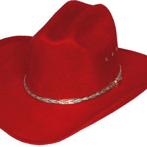Cowboy hat PNG