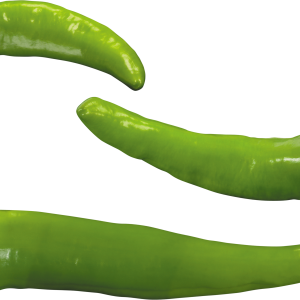 Green pepper PNG image