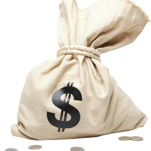 Money bag PNG image