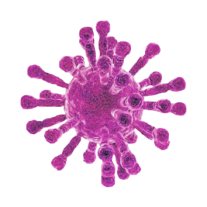 Coronavirus PNG