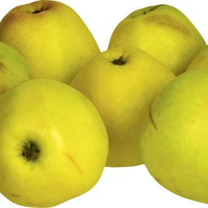 Many apples PNG
