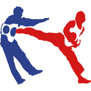 Taekwondo PNG