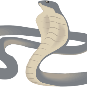 Cobra PNG
