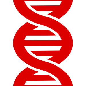 DNA PNG