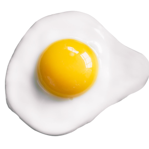 Fried egg PNG