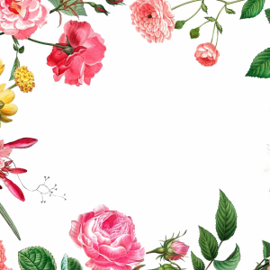Floral frame PNG