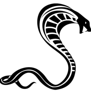 Cobra PNG
