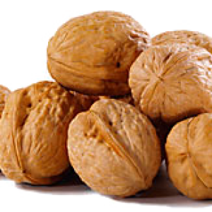 Walnut PNG