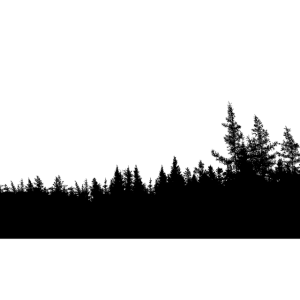 Forest PNG