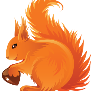 Squirrel PNG