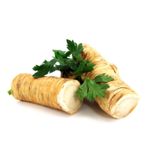 Horseradish PNG