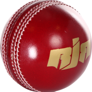 Cricket PNG