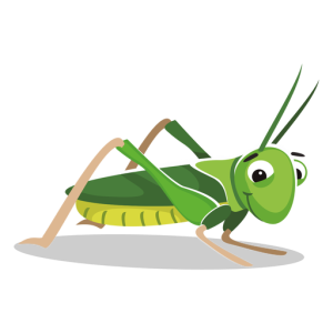 Grasshopper PNG