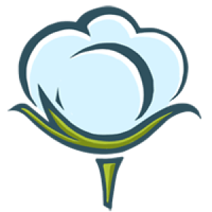 Cotton PNG