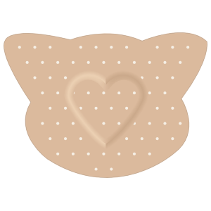 Bandage PNG