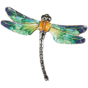 Dragonfly PNG