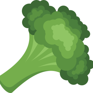 Broccoli PNG