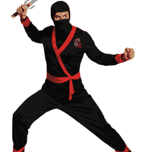 Ninja PNG