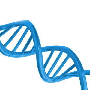 DNA PNG