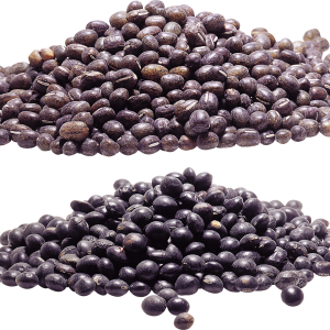 Kidney beans PNG