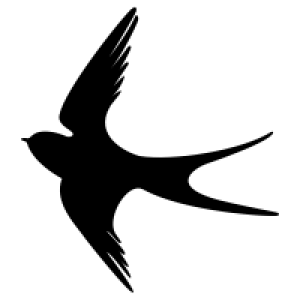 Swallow PNG