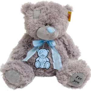 Teddy bear PNG