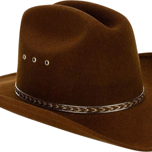 Cowboy hat PNG