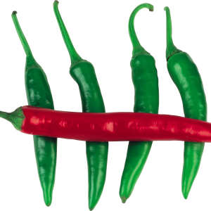 Chili pepper PNG