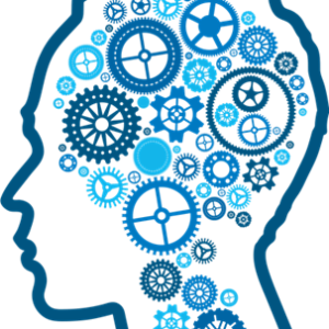Brain PNG