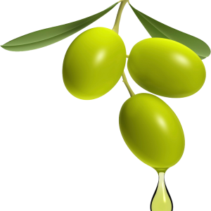 Olive PNG