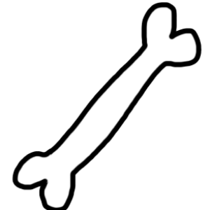 Bone PNG