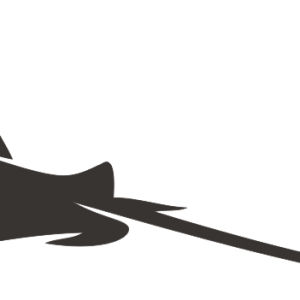 Stingray PNG
