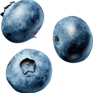 Blueberries PNG