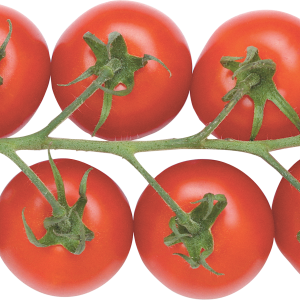 Tomatoes cherry PNG