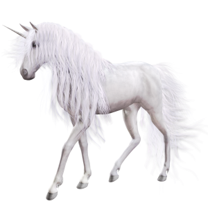 Unicorn PNG