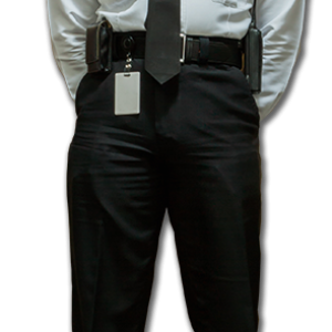 Guard, security PNG