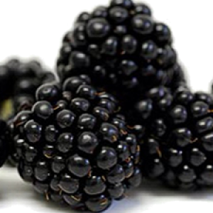 Blackberry PNG