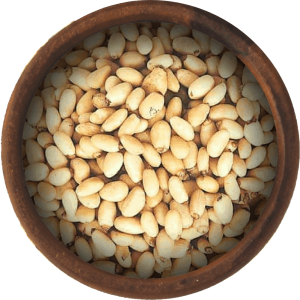 Pine nuts PNG