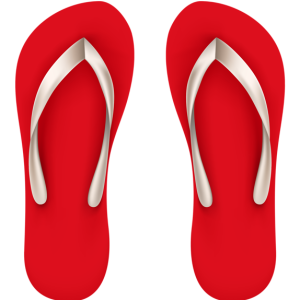 Flip-flops PNG