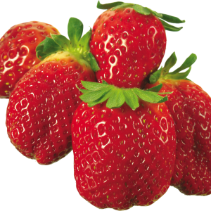 Many strawberries PNG