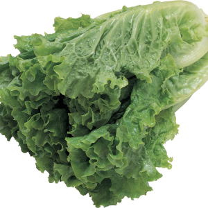 Salad PNG image