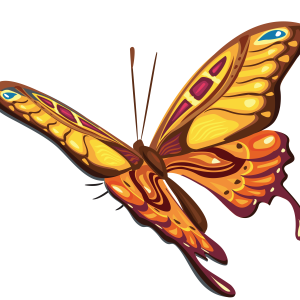 Butterfly PNG