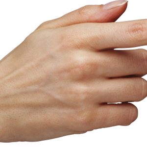 Hands PNG, hand image free