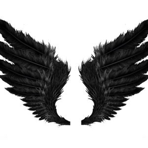 Black evil wings PNG
