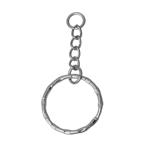 Keychain PNG