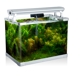 Aquarium PNG