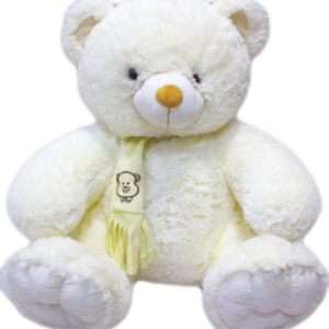Teddy bear PNG