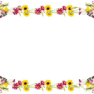 Floral frame PNG