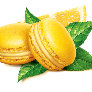 Macaron PNG