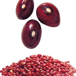 Kidney beans PNG